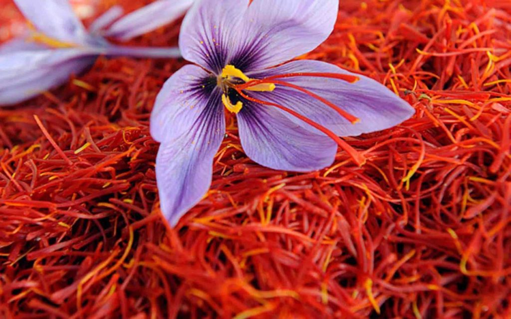 زعفران طلای سرخ